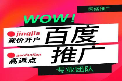 探索百度推广代理在电商行业的成功应用